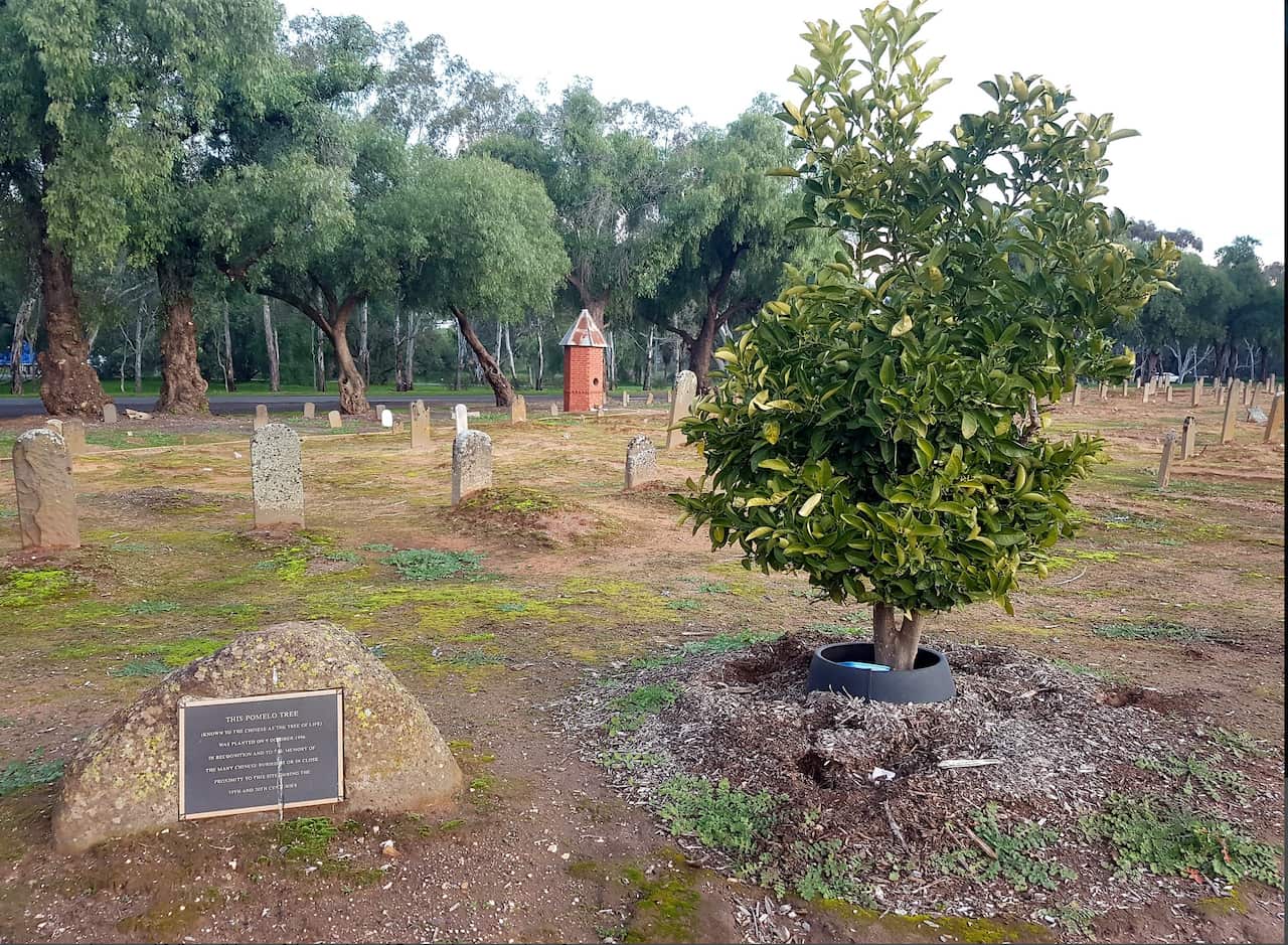 白山公墓（White Hills Cemetery）.png
