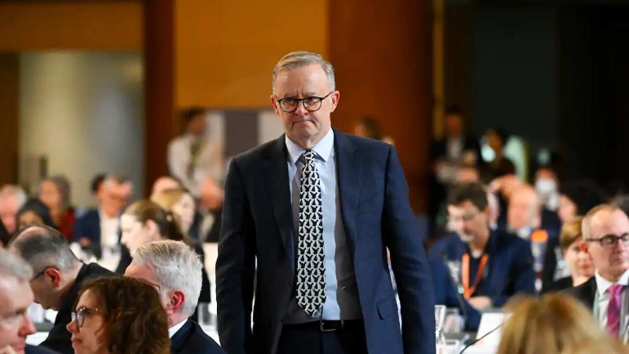 Anthony Albanese's government has made changes to Australia's skilled migration program.jpg