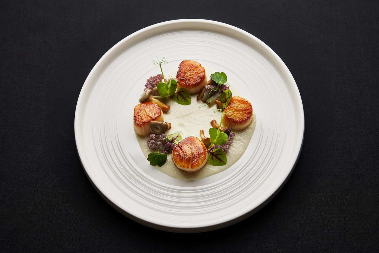 Un piatto di Adriana Rodrigues Sonza capesante (seared Canadian scallops, peas purée, noisette butter, cauliflower, beetroot air