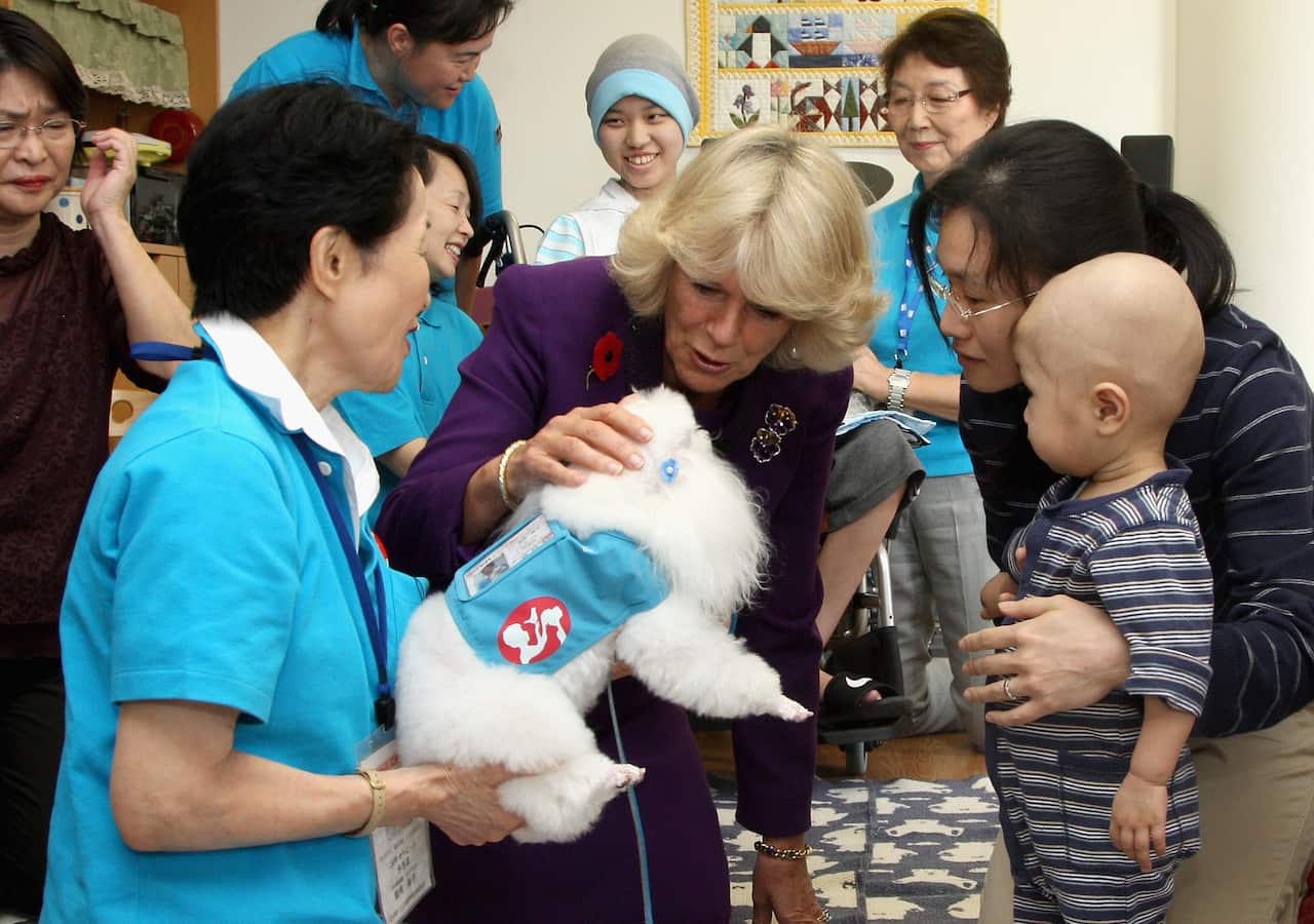 Prince Charles And Duchess Of Cornwall Visit Japan - Day 4