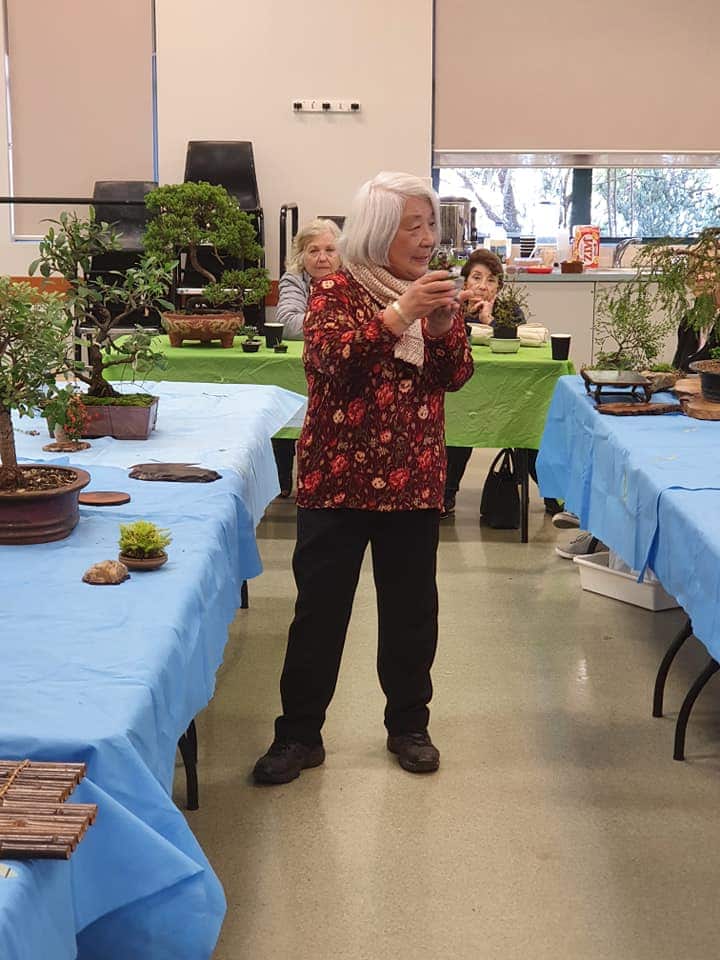 Japanese bonsai master Megumi Bennett
