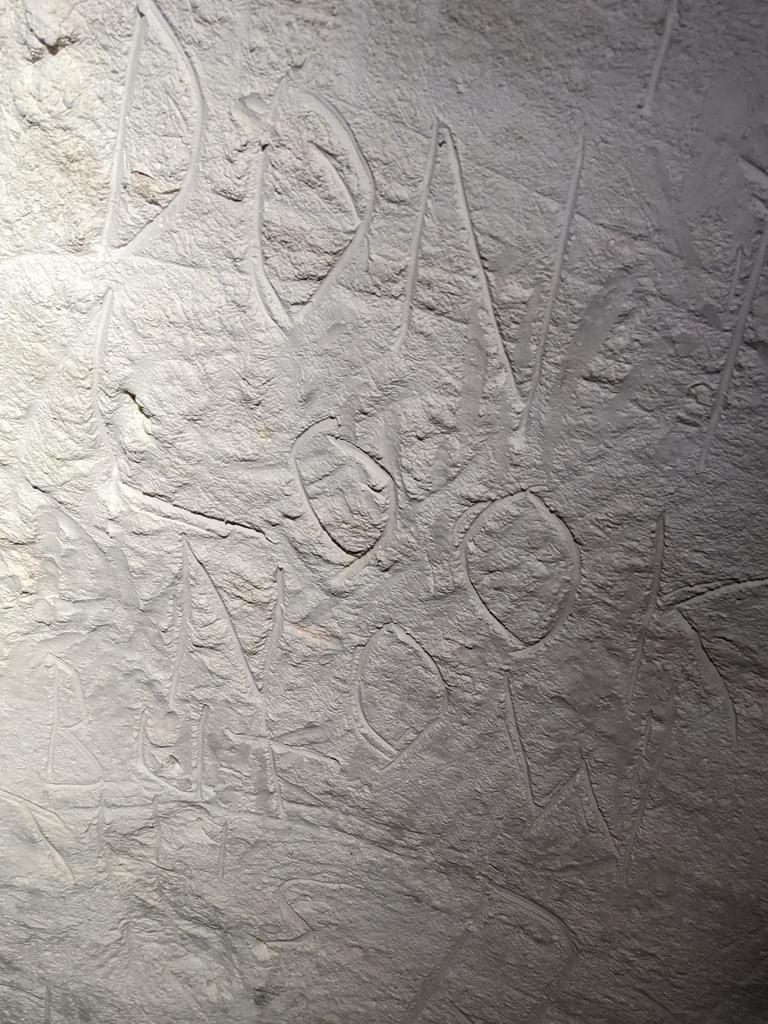 e6cbca4a0e1aca24e8661e35d47cfc13.jfif