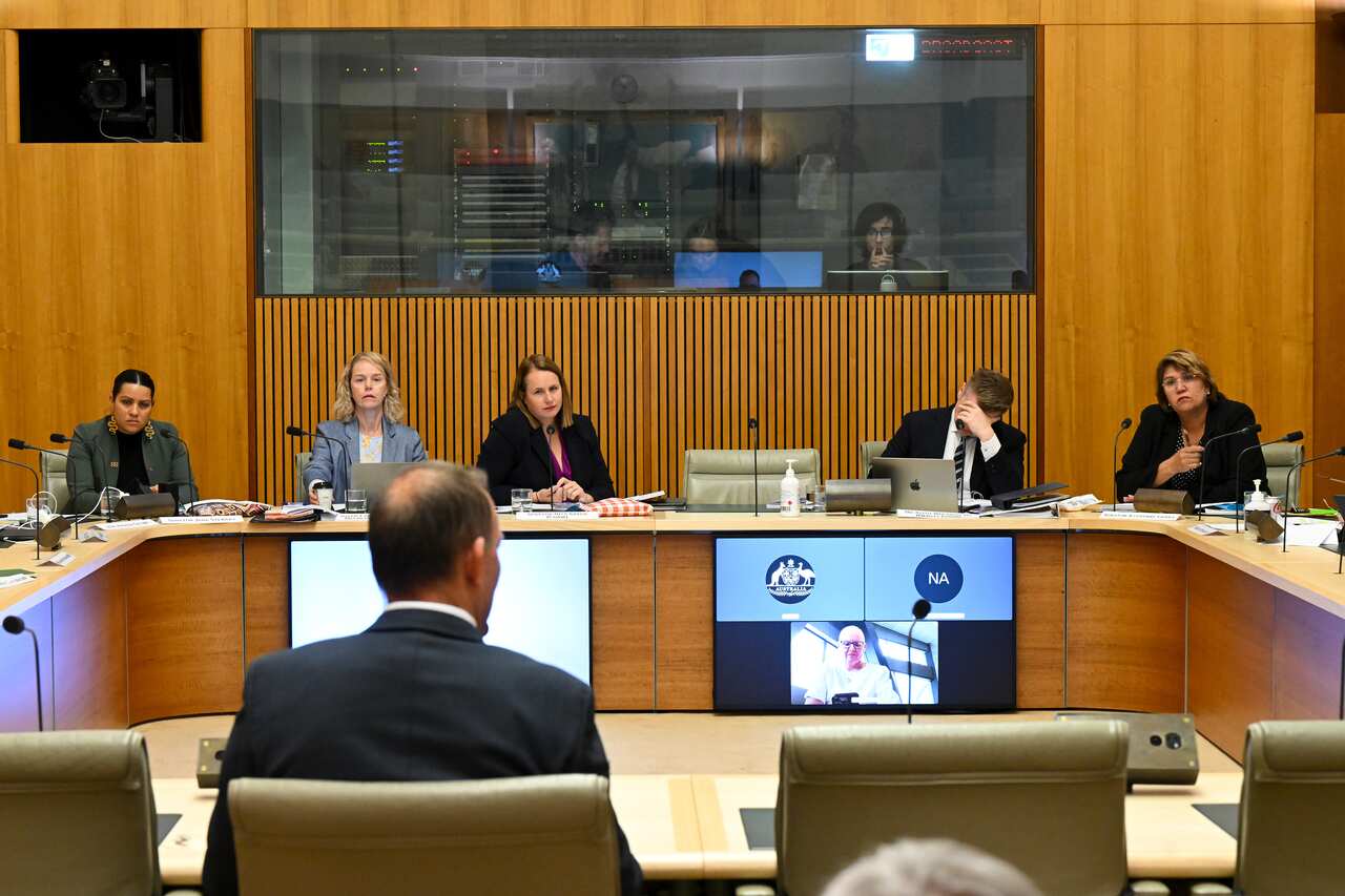 Man appears before parliamentary committee.