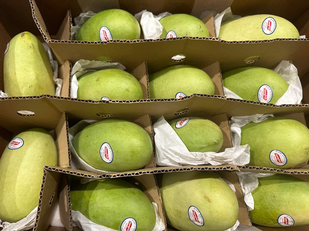 Philippine Carabao mangoes in a box.jpg