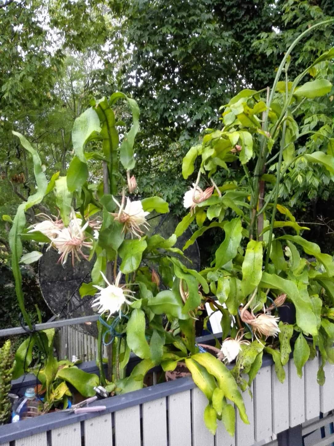 MicrosoftTeams-image (2).png