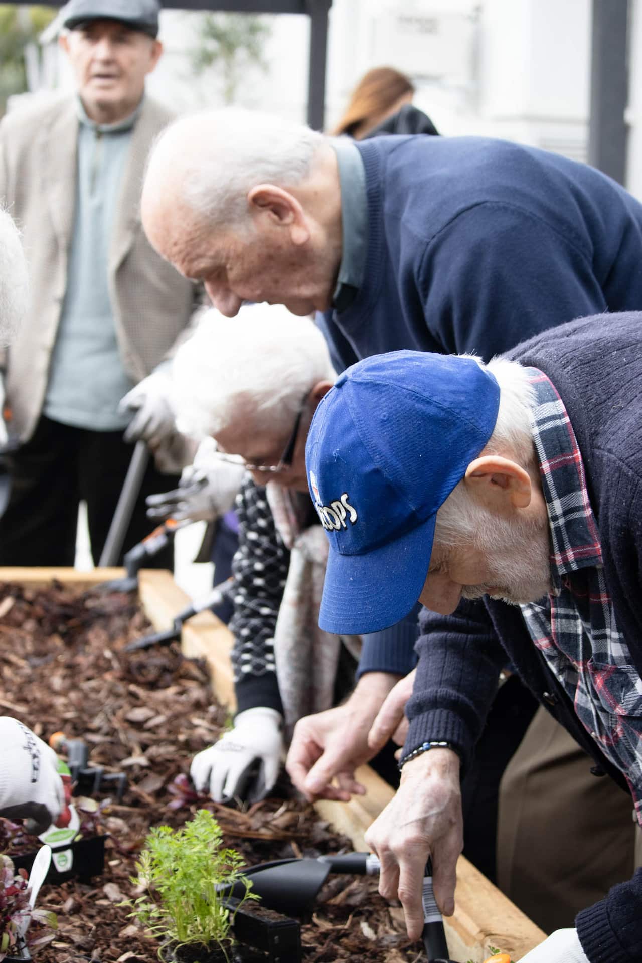 Close up of older people gardening 