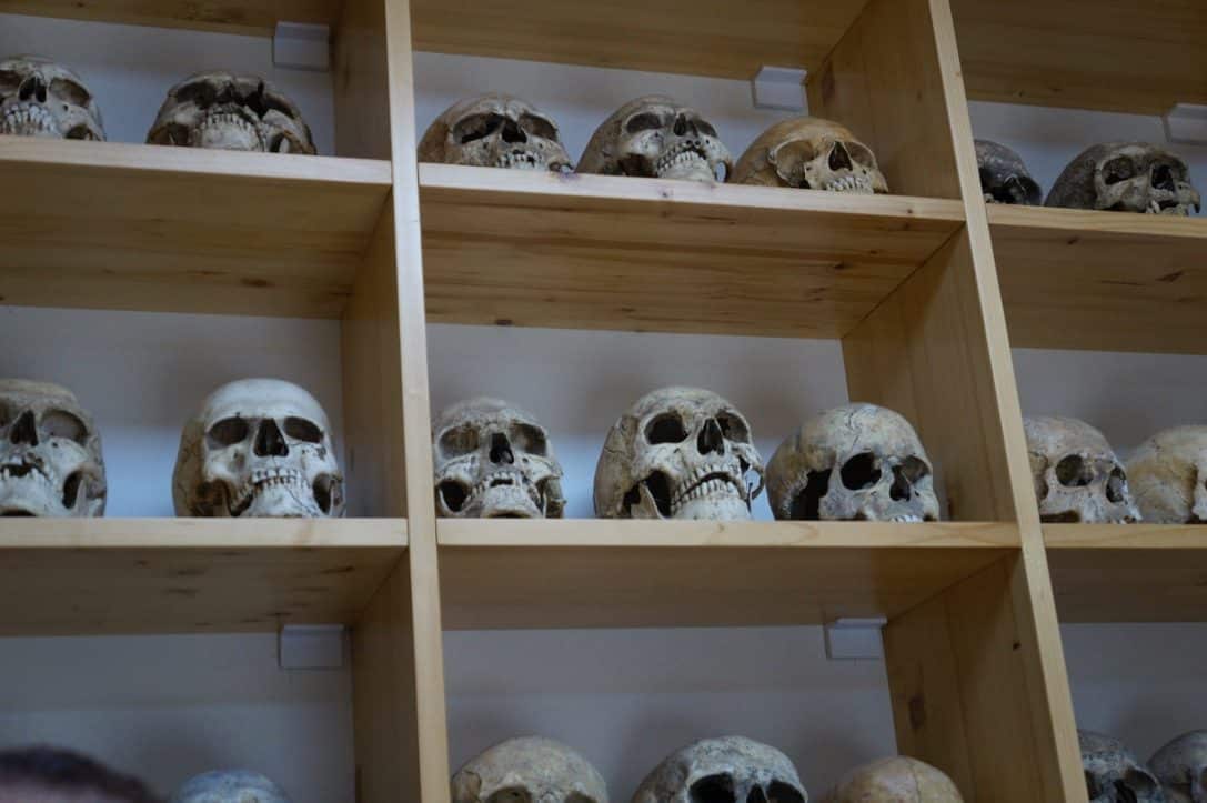 Anthropology laboratory at Viminacium containing approximately 20,000 human skeletons
