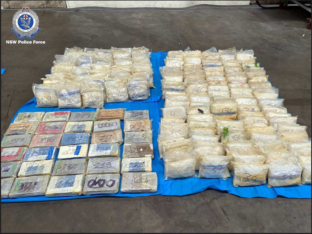 BENTLEY DRUG IMPORTATION