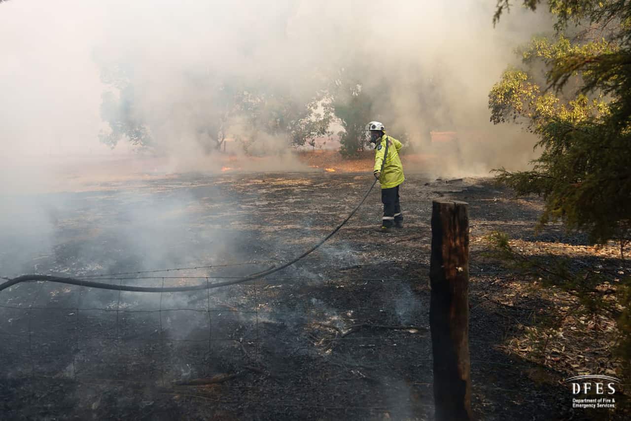 A firefighter battles a bushfire.