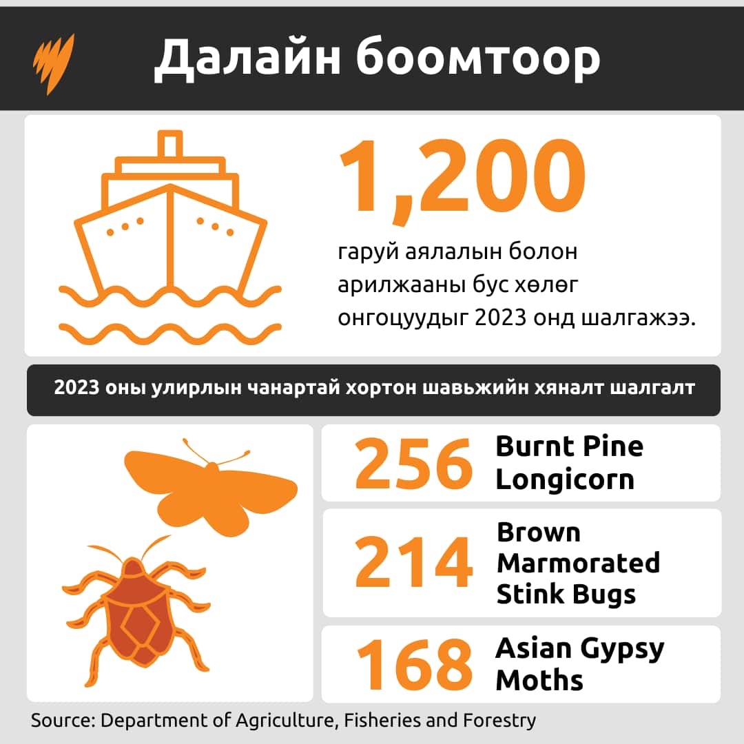 WEIRD ITEMS SEIZED GFX 3.png