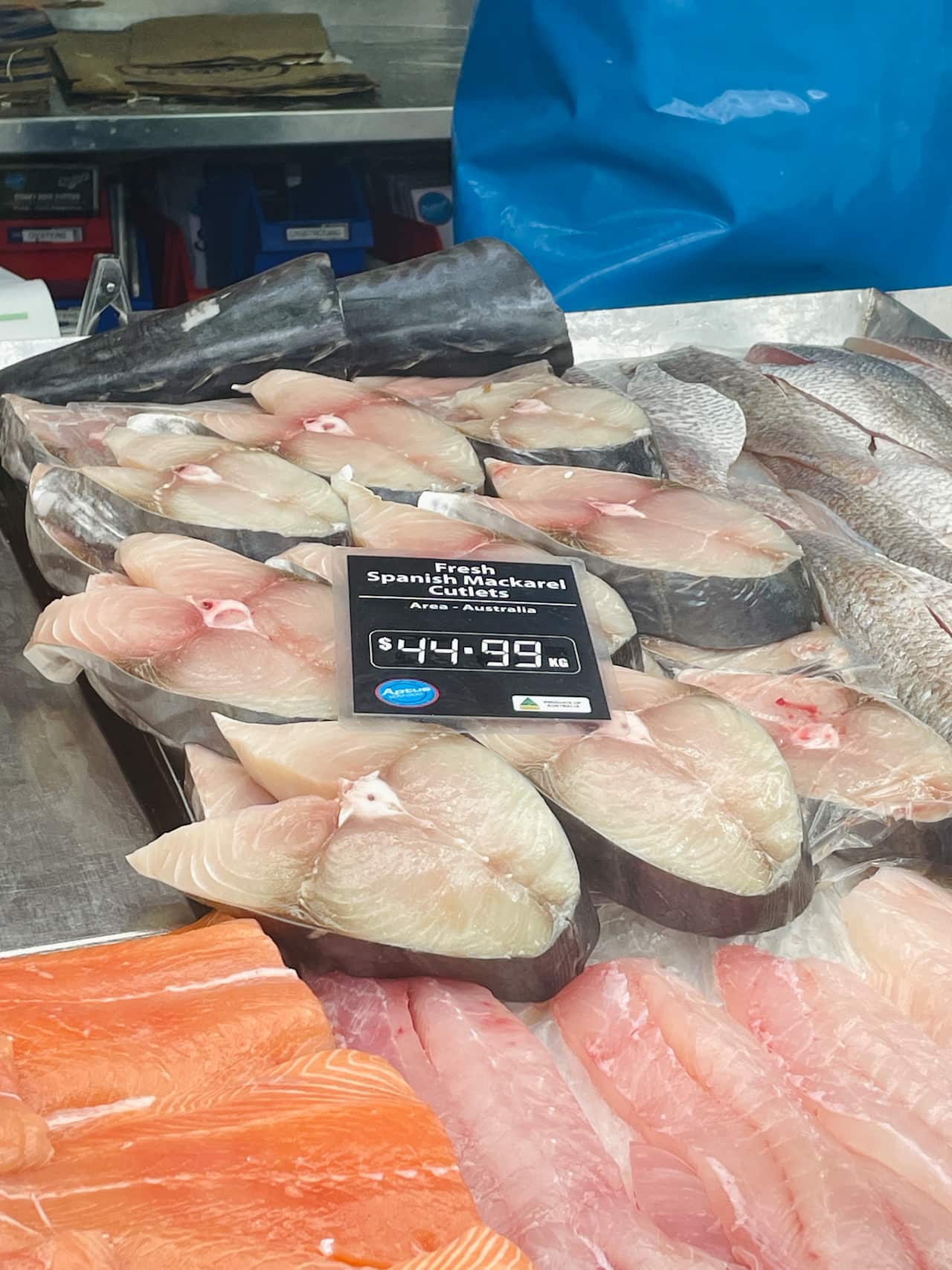 Spanish Mackaral.jpeg