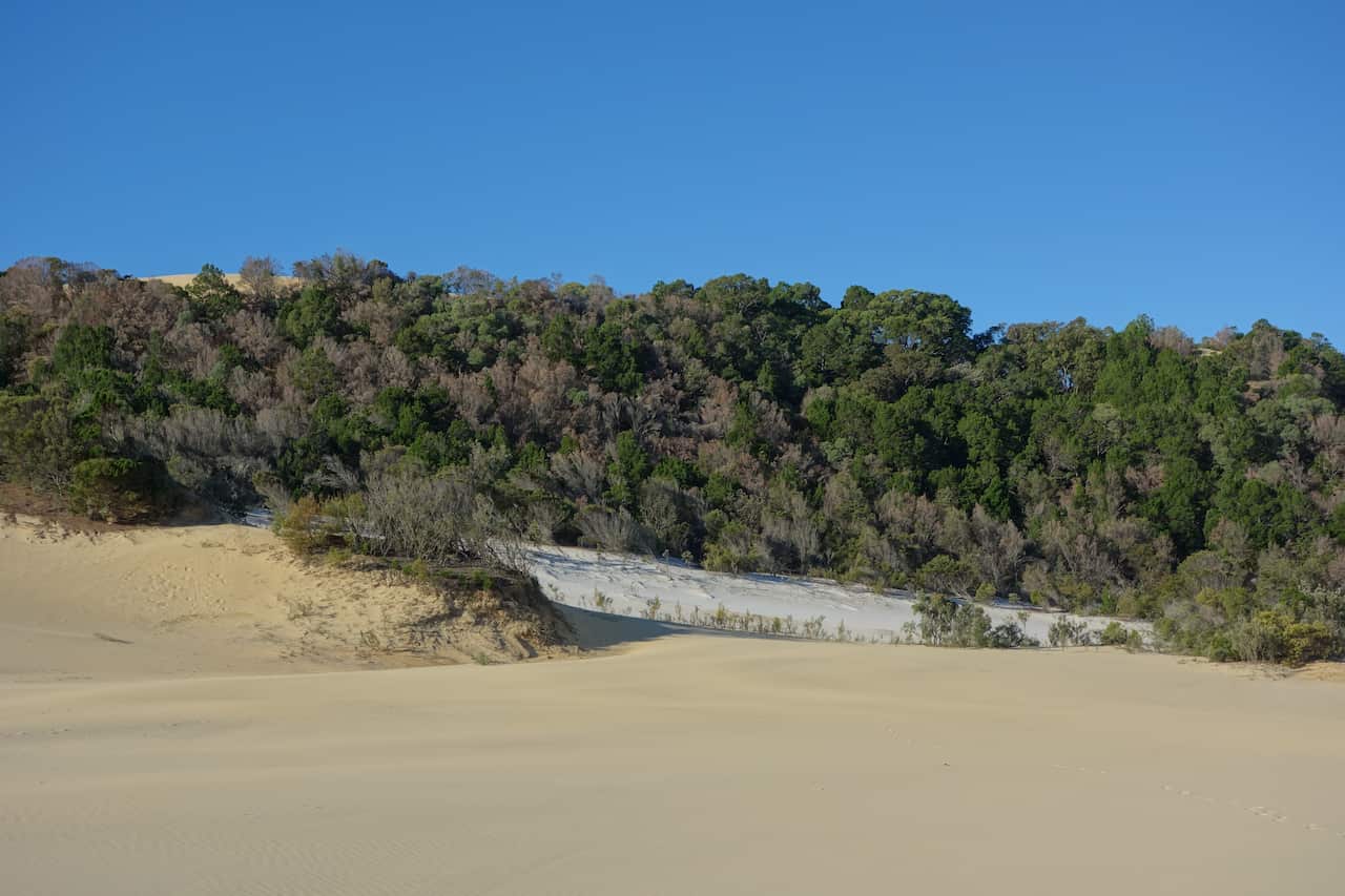 Flickr DGriebeling CC BY 2.0.jpg