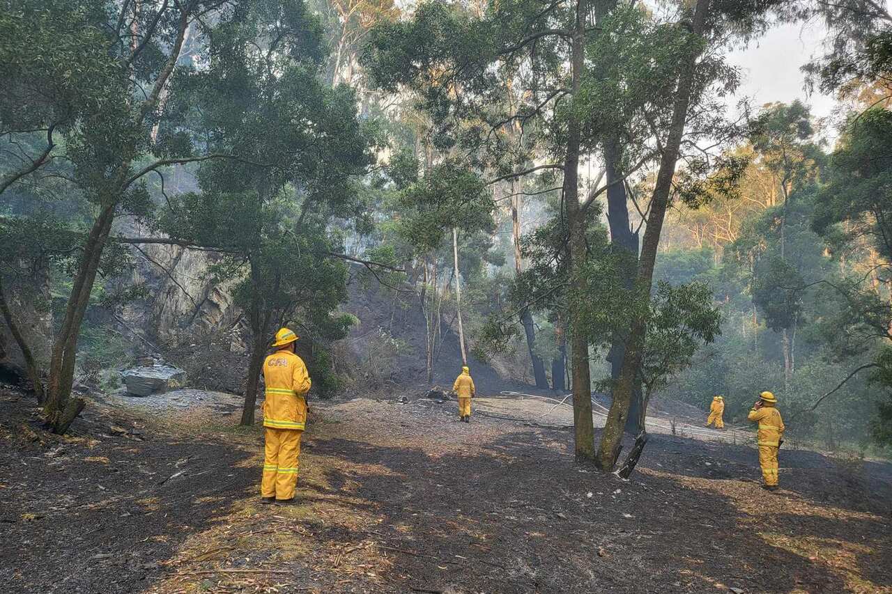 BUSHFIRES VIC 