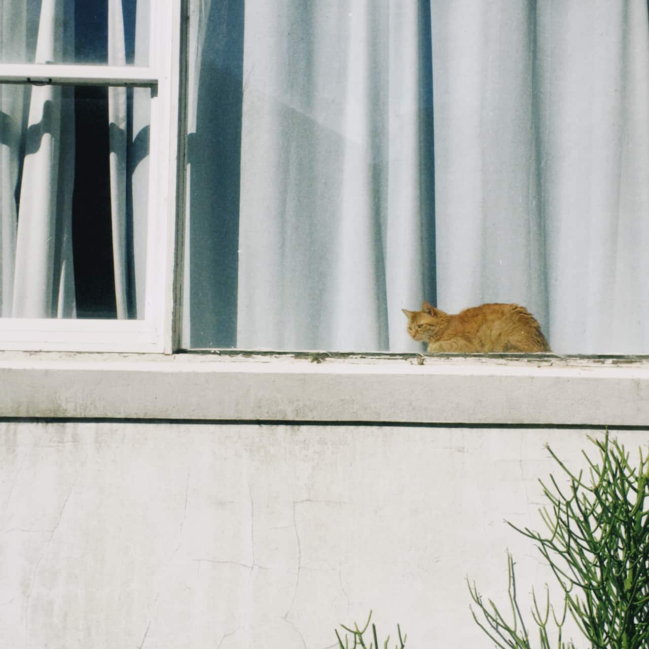 Portada Despiertame - Foto por Abel Ibanez G.png