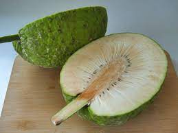 ulu sake breadfruits.jfif
