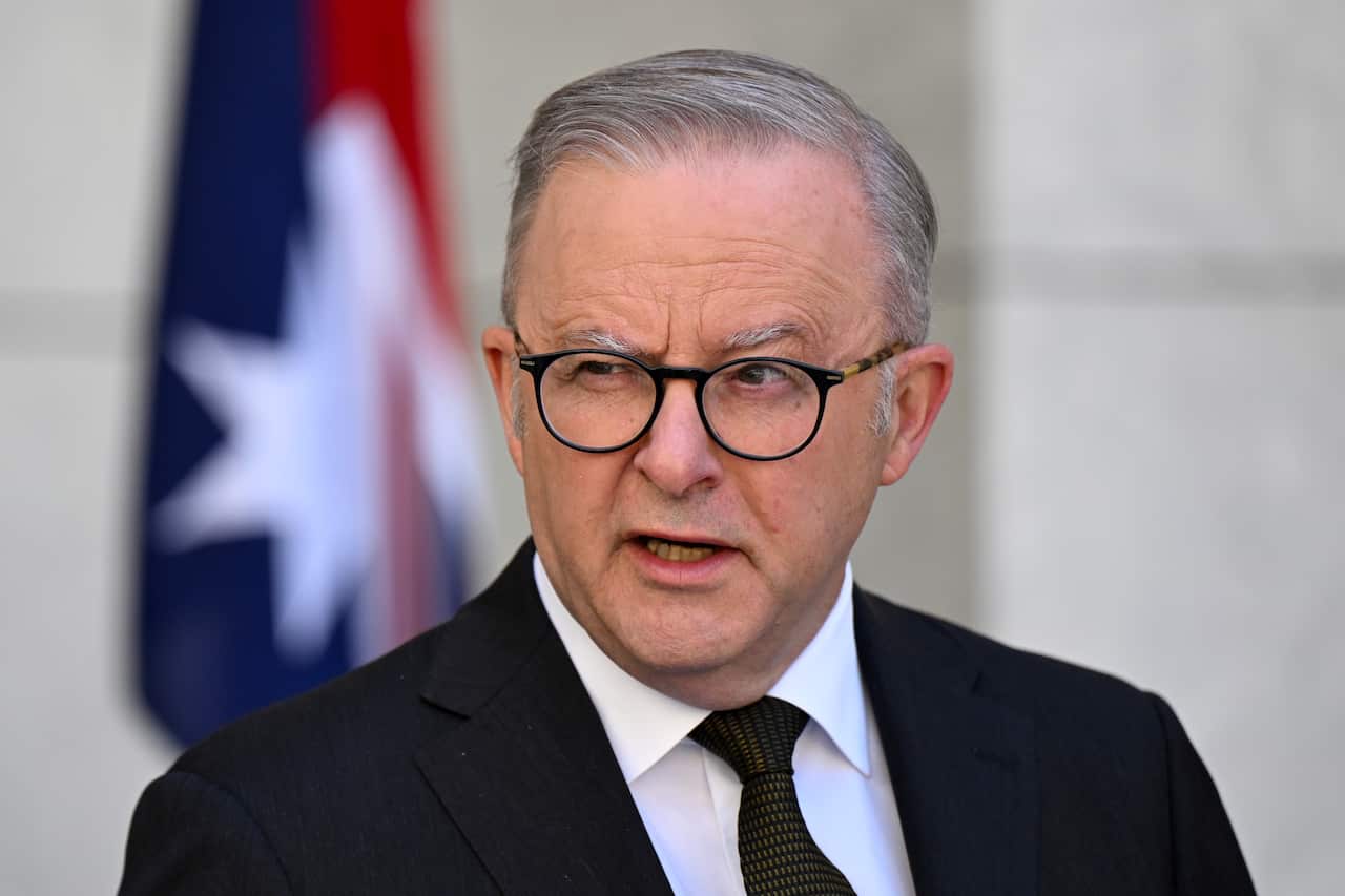 Anthony Albanese, wearing a suit, tie and glasses, is speaking.