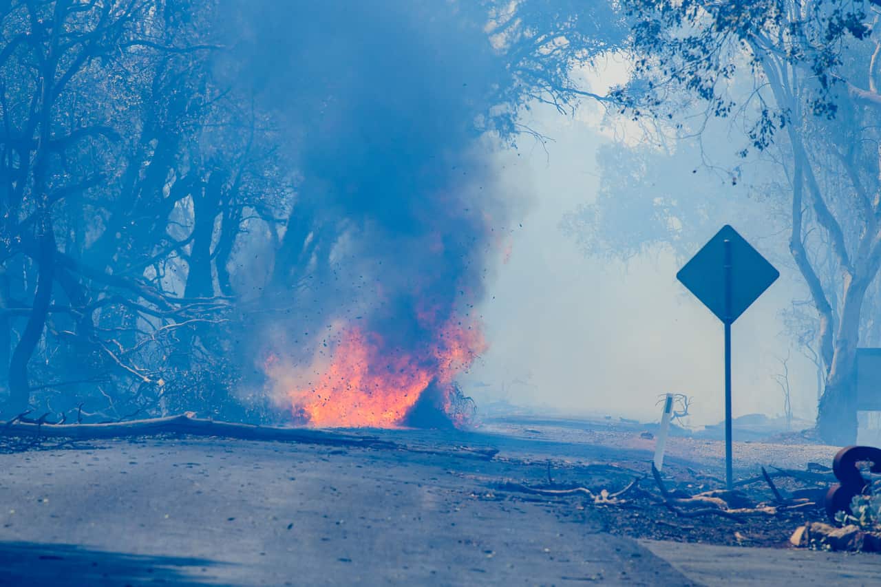 Fires burning on a road, a tree on the ground
