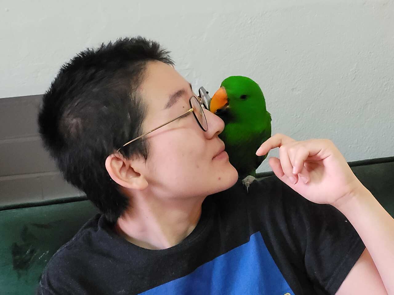 折衷鸚鵡與Zoo玩耍。