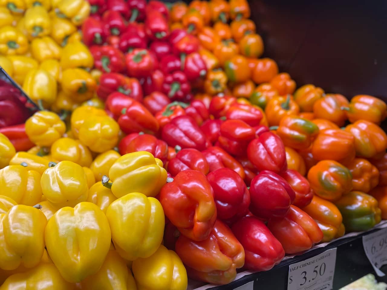Capsicum.jpeg