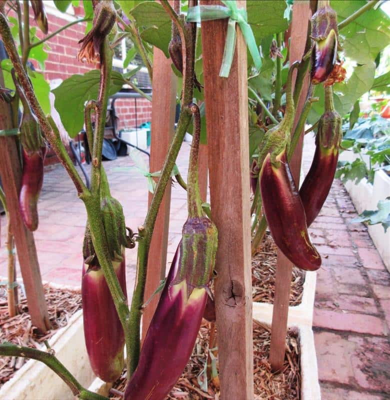 Image - 2025-09-19T105258.363.jpeg