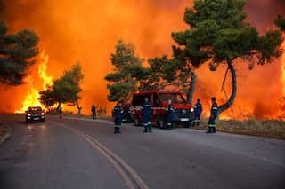 A large wildfire next to a road, emergency vehicles and personnel are standing on the road.