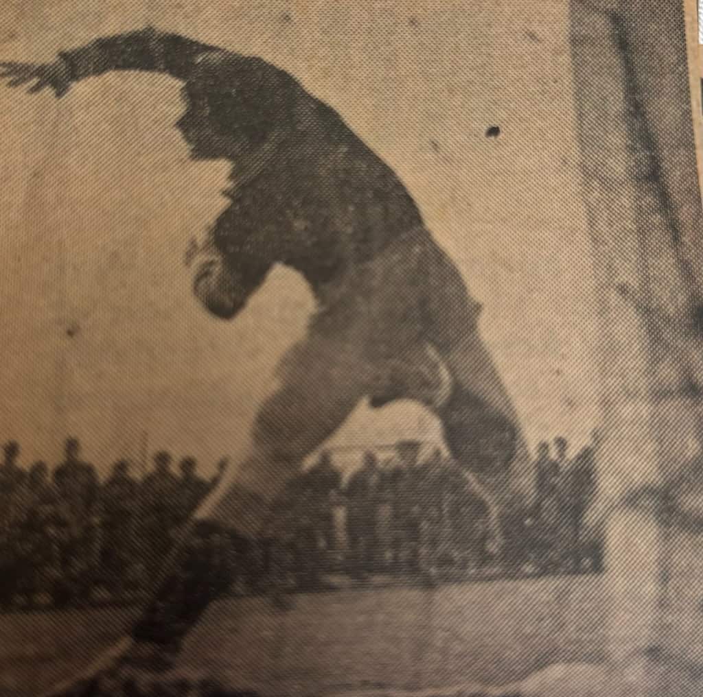 Φλέσσας Πέτρος 4 Φωτο τερματοφύλακας.jpg