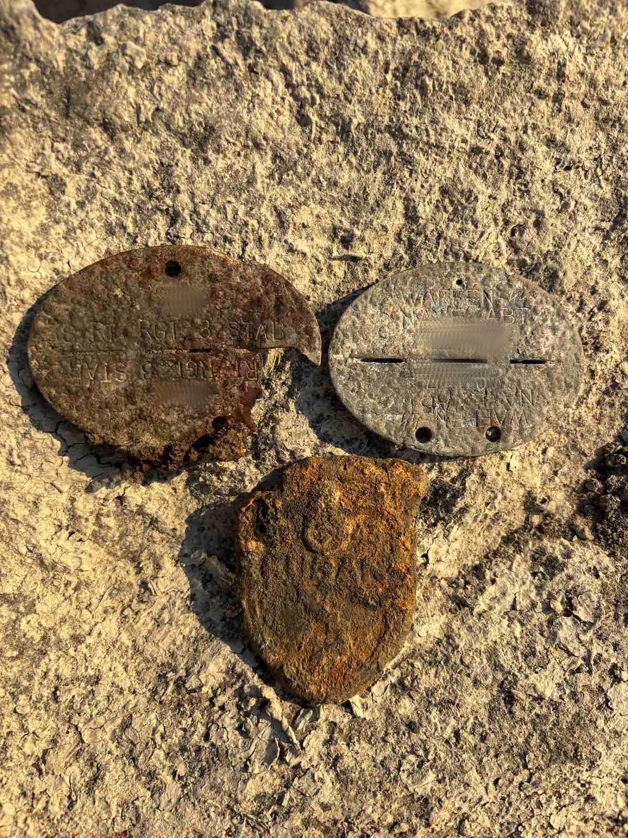 rusted metal discs
