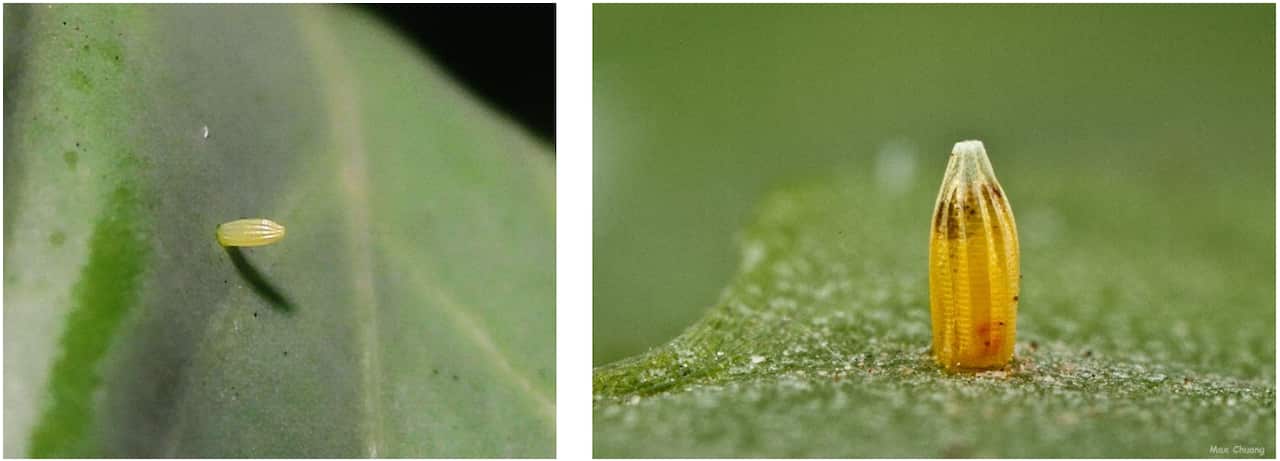 Screenshot 2026-03-13 121314.png