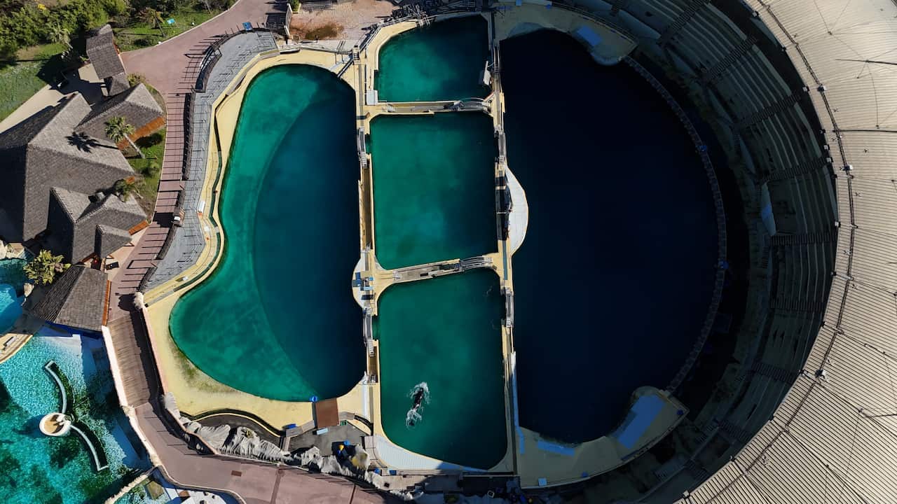 An aerial shot of a whale swimming around otherwise empty set of pools. 