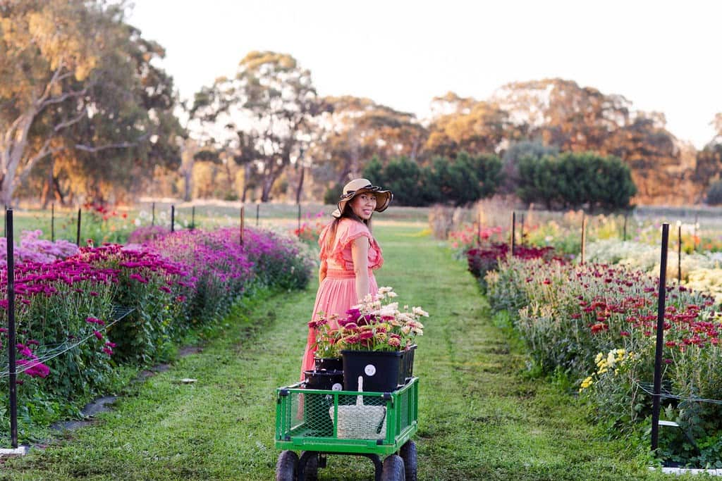 Pure Maiden Flower Farm Belinda Jordaan 4.jpg