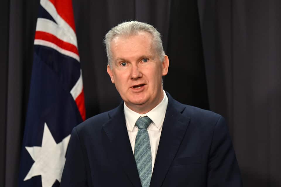 New gun laws pass parliament as prime minister says reforms not ...
