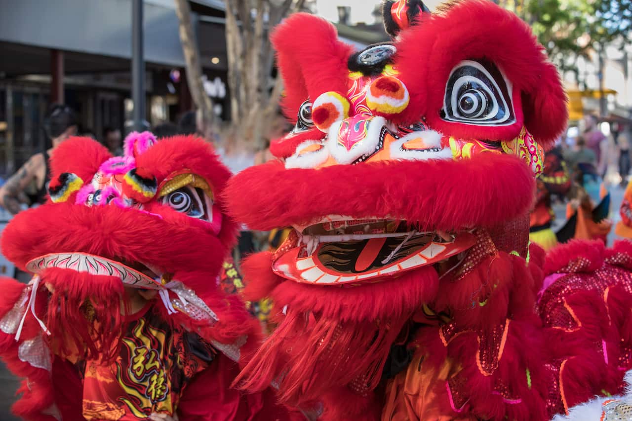 Red Chinese Lions dancing at Chinese New Year Celebrations in Brisbane, Australia