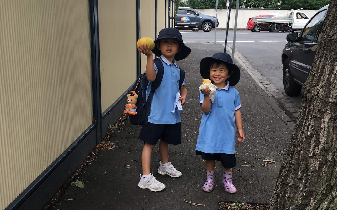 edit 2 Tomaru 25 mango.jpeg