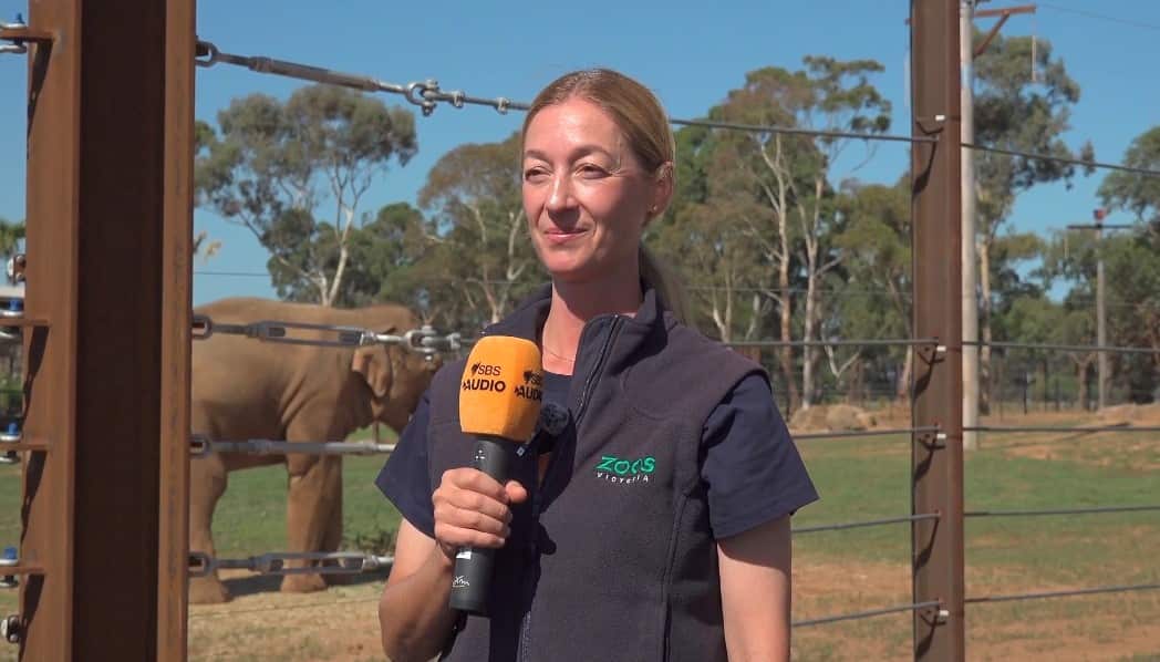 SBS Thai-Lucy Truelson 01.jpg