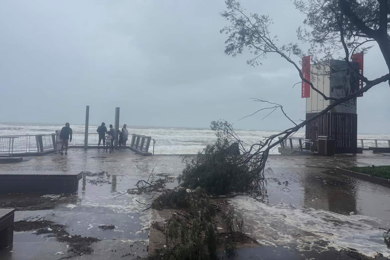 An uprooted tree and flooded walkway by the coast