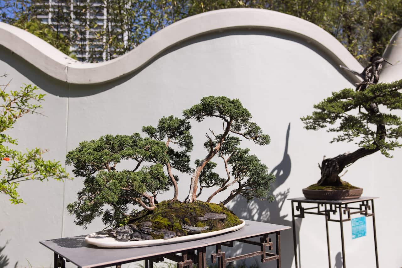 PenjingExhibition_ChineseGardens