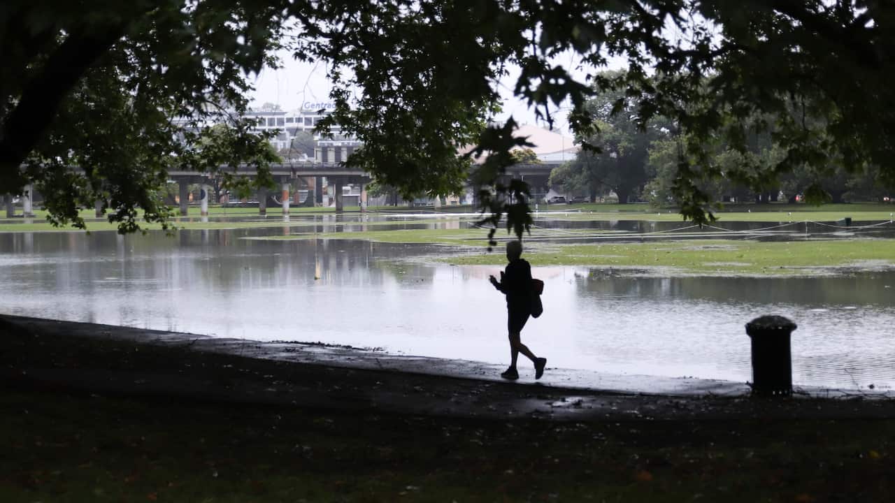 Victoria Park in central Auckland coverd with floodwater