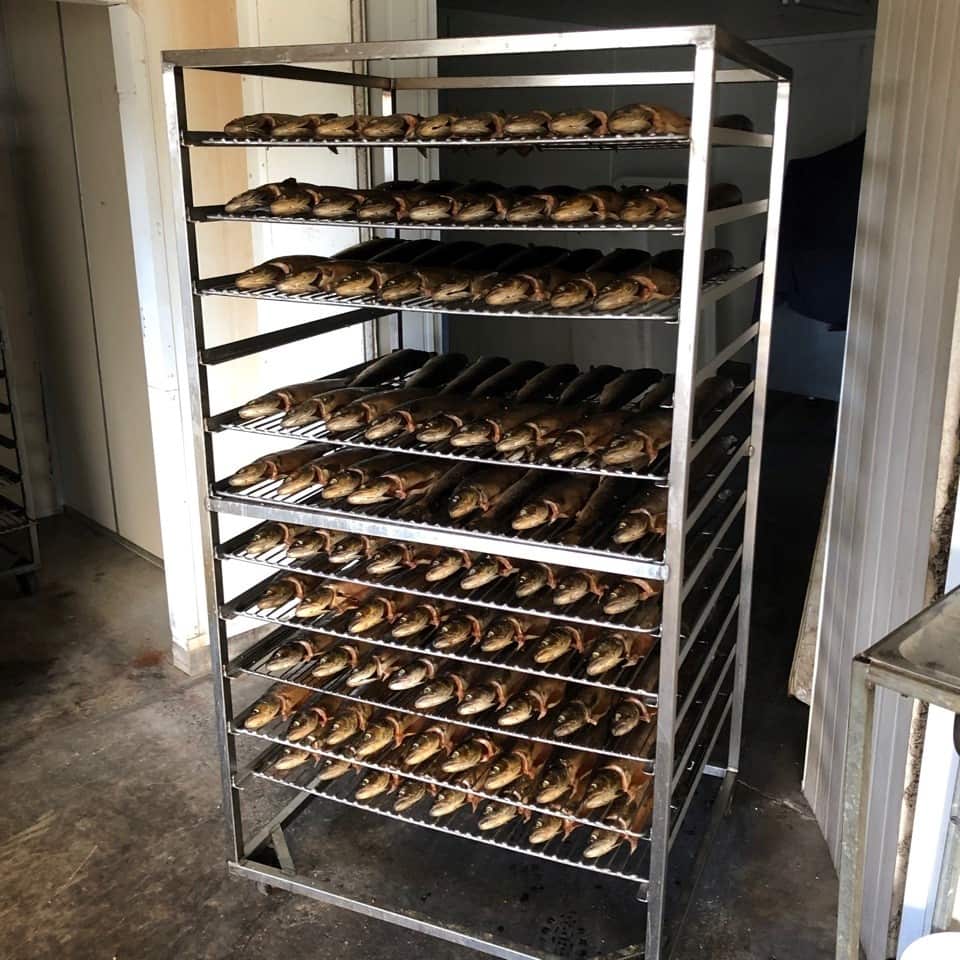 lachszucht loesche 3.jpg