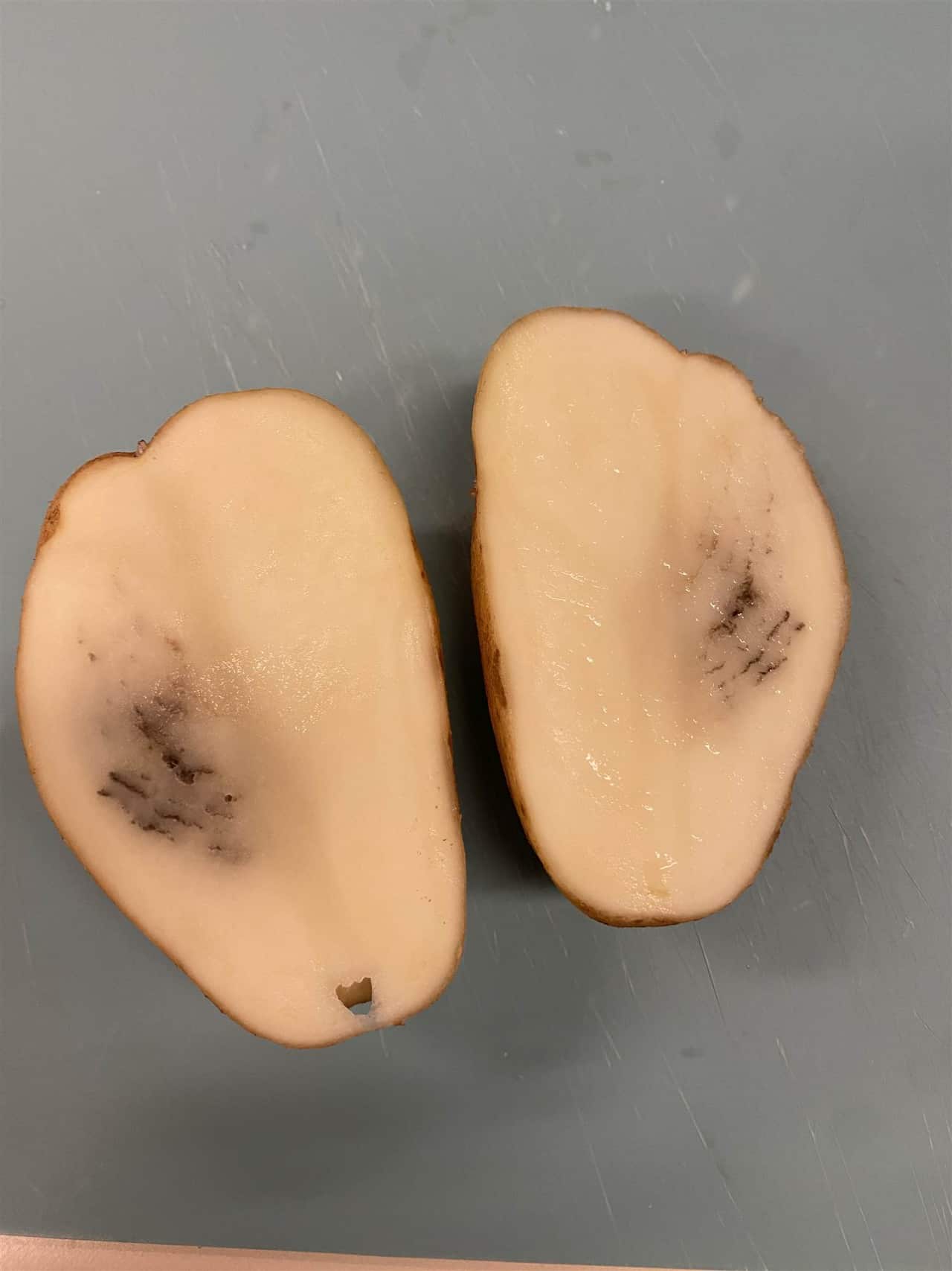 A picture of a potato cut in half with dark colouring in the middle