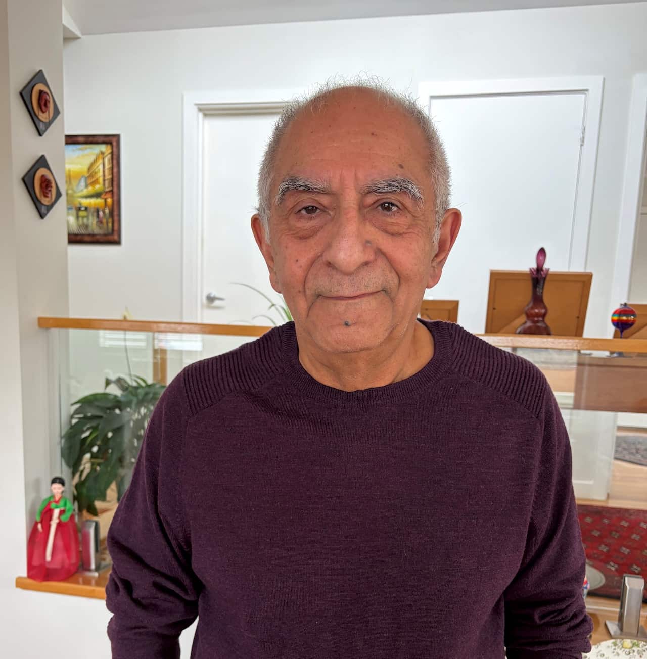 Mr. Mohsen Afkari.jpeg