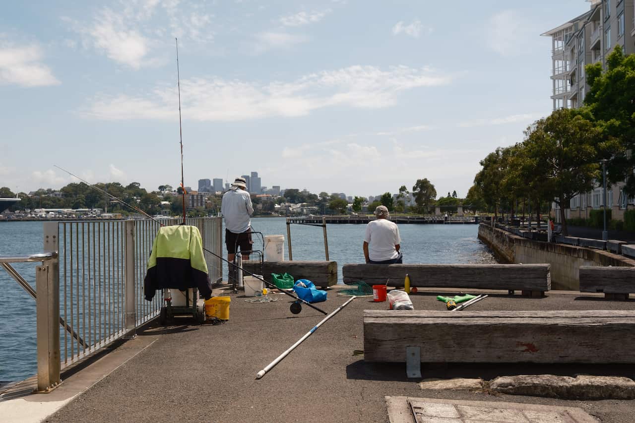 Australia Explained - Fishing
