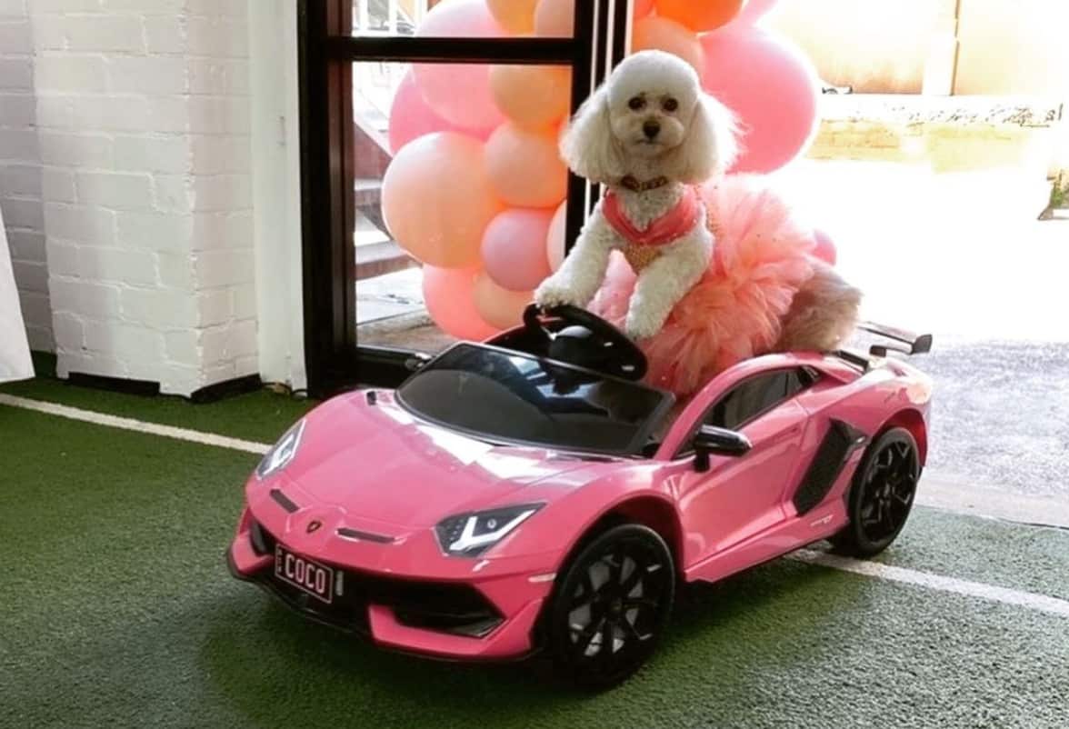 Coco in her Lamborghini Aventador