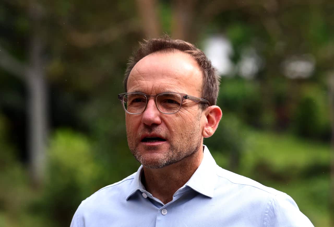 A man in a blue shirt is standing in front of trees.