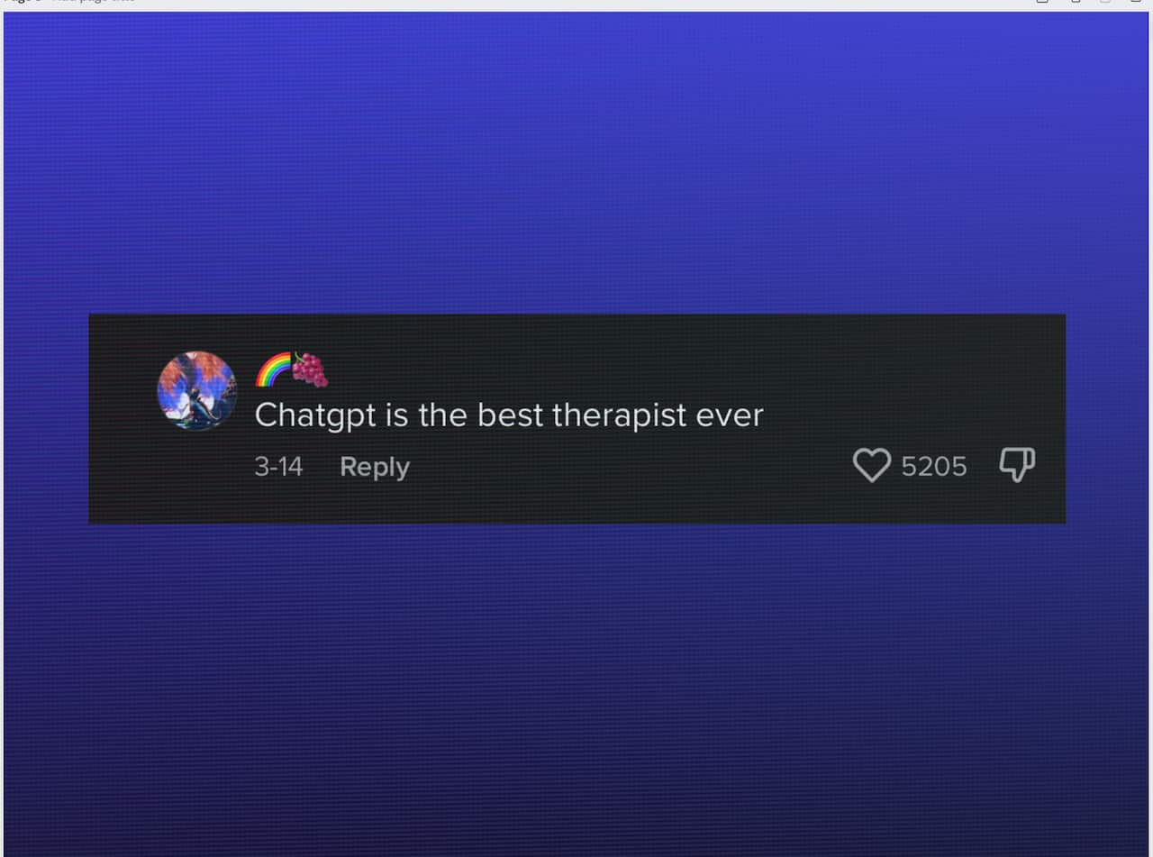 A comment from TikTok