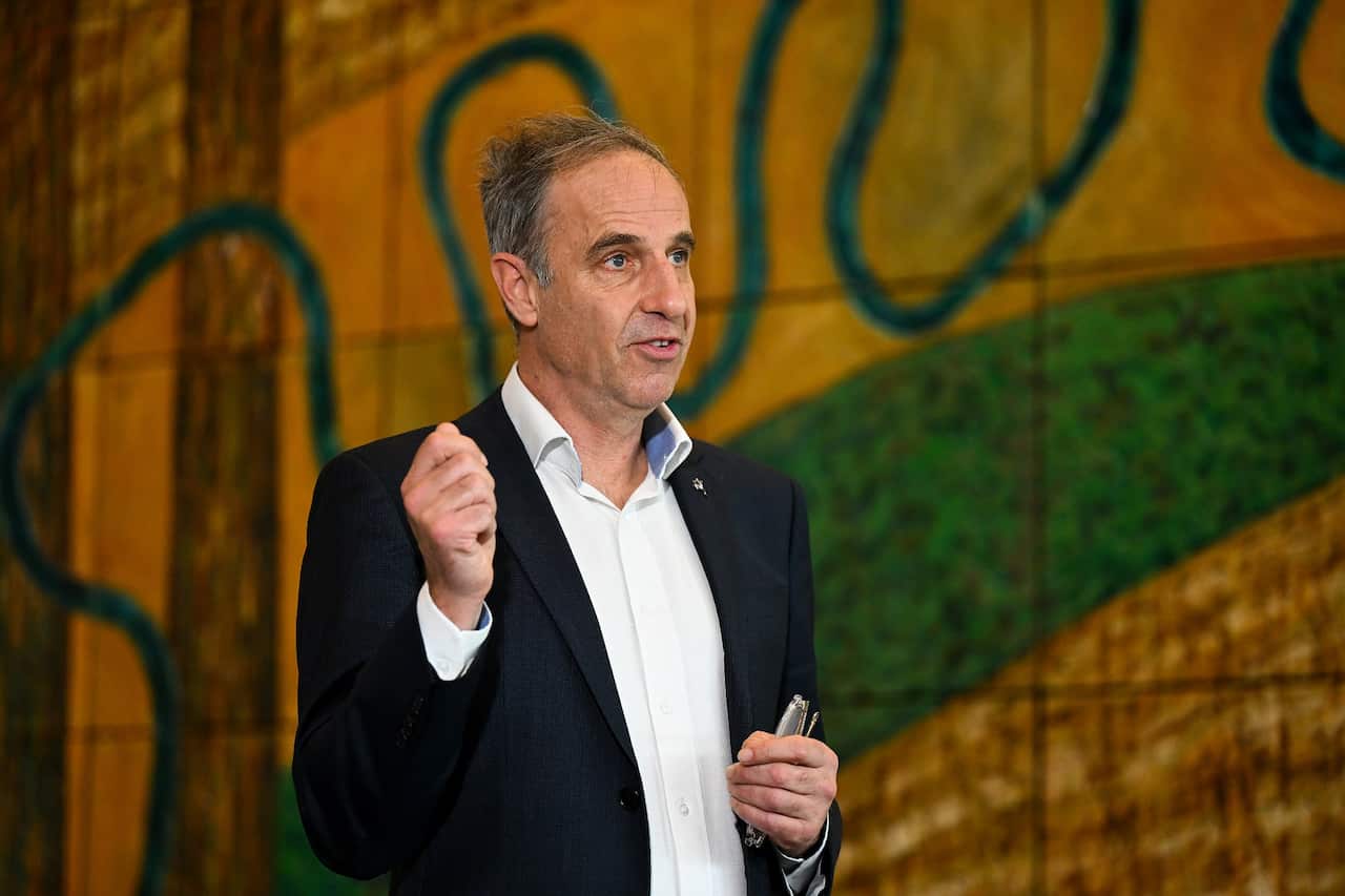Australian Greens Immigration spokesperson Nick McKim talking in front of a painted background.