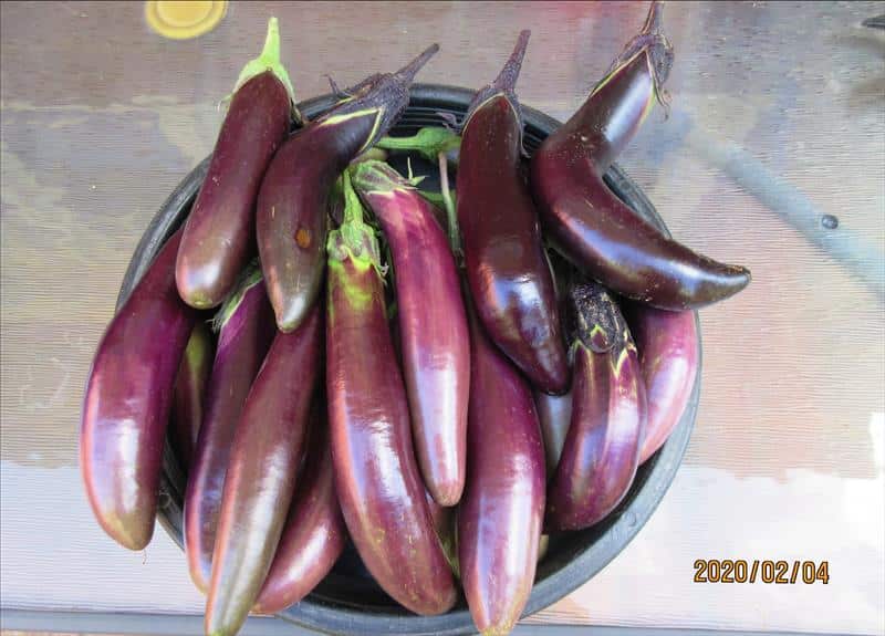 Image - 2025-09-19T105254.158.jpeg