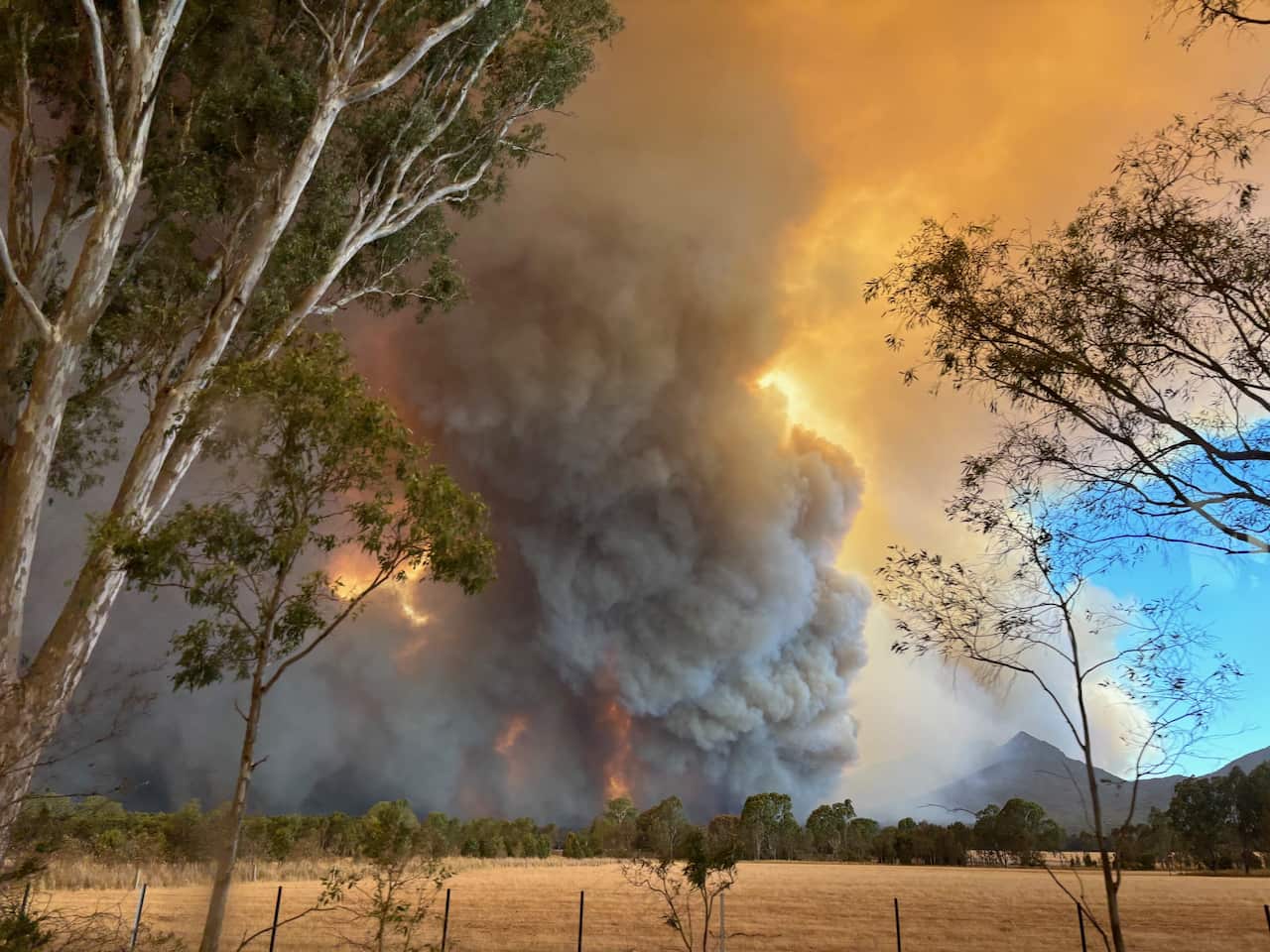 BUSHFIRES VICTORIA