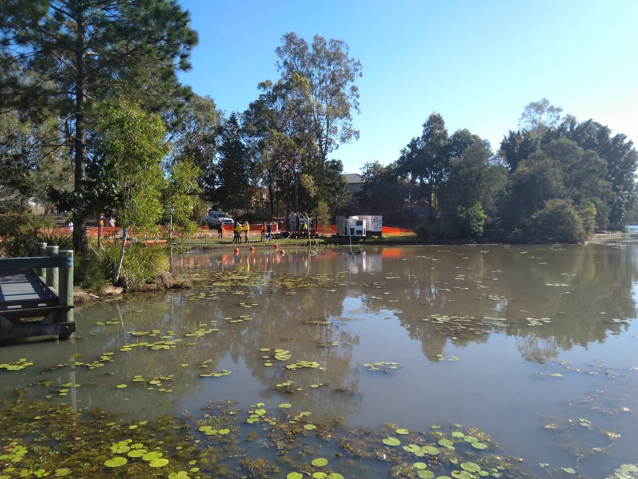 A dark brown lake with lilypads on a sunny day.