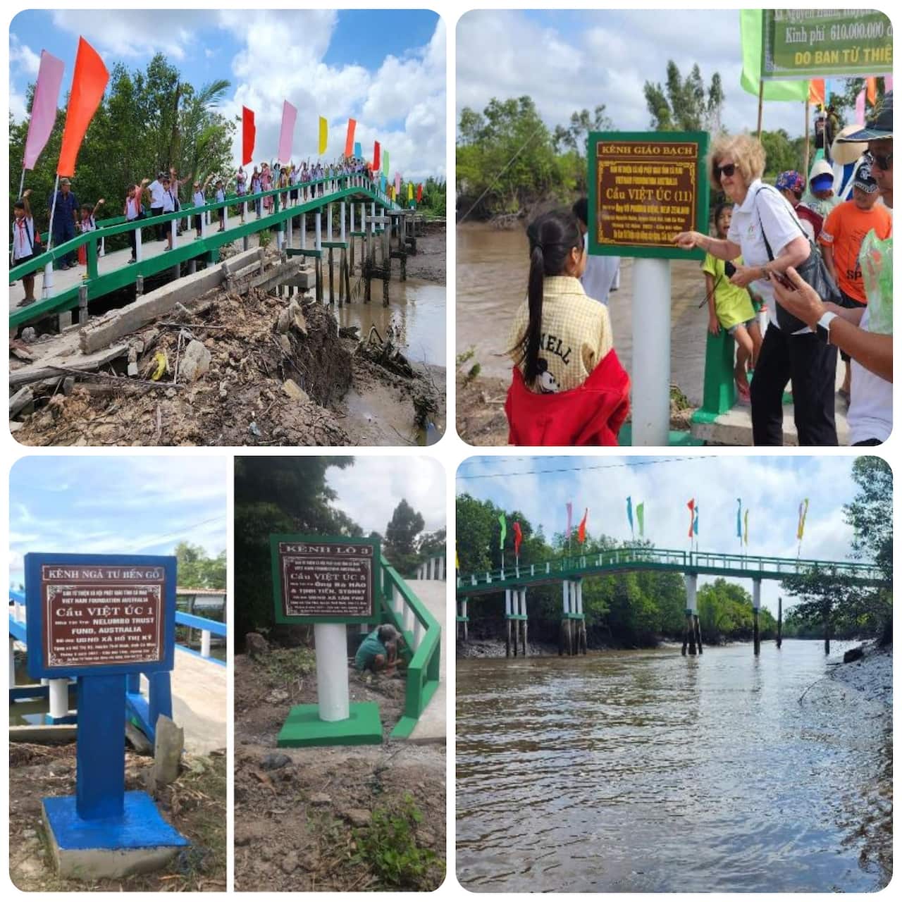  Bridge in Mekong Delta.png