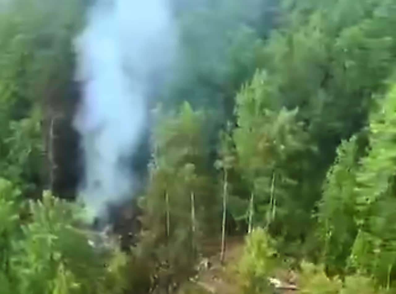 A blurry overhead of smoke rising from among trees.